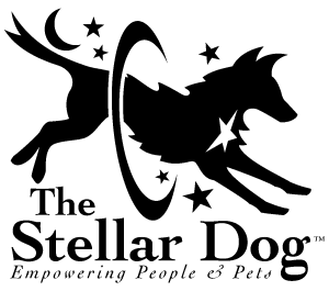Stellar Dog Welcome